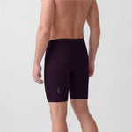 29983H Titan EVO Running Shorts PLUM