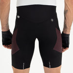 EVANS CARGO CYCLING SHORTS FOR MEN WINE