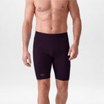 29983H Titan EVO Running Shorts PLUM